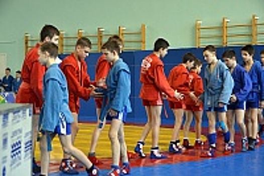 В Зеленограде прошел командный турнир по самбо в честь Дня Победы