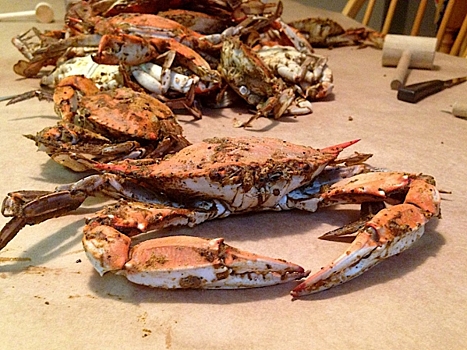 Краболов-процессор «Кильдин», заложенный в Нижнем Новгороде, достроят в Петербурге