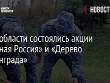 ЛНР присоединилась к акции по высадке деревьев "Сохраним лес" в качестве региона России