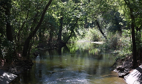 Рекордное количество волгоградцев объединила акция «Вода России» в этом году
