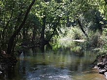 Рекордное количество волгоградцев объединила акция «Вода России» в этом году