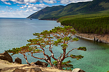 Озеро проблем: что убивает Байкал: Статьи экологии ➕1, 05.10.2021