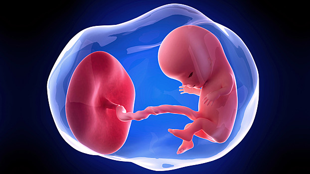 10-я неделя беременности: токсикоз отступает