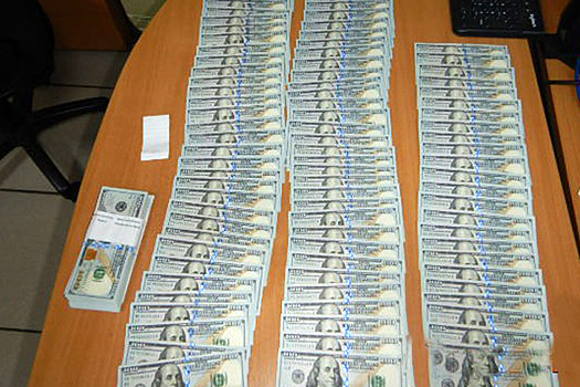 Пес Кодилак вычислил миллионера по запаху в аэропорту Толмачево