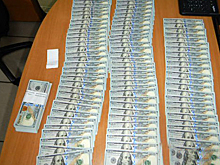 Пес Кодилак вычислил миллионера по запаху в аэропорту Толмачево