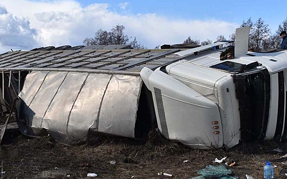 В Сараевском районе перевернулся грузовик с поросятами