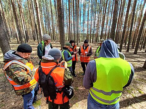 Более 70 волонтеров поисково-спасательных отрядов региона приняли участие в полевых учениях в Дзержинске
