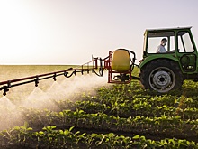 Цены на пестициды должны упасть