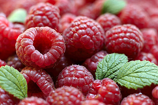 Эндокринолог Поляков назвал ягоду, помогающую похудеть благодаря мочегонному эффекту