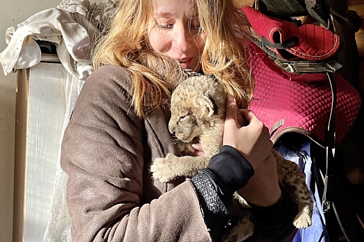 "Украинская власть недолюбливала зоопарк". Как выжили и выживают обитатели разрушенного Мариупольского зоопарка