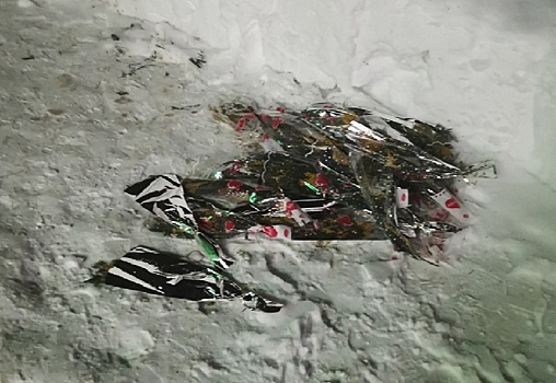 Свалка из цветов появилась в Нижнем Новгороде после 8 Марта