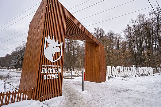В дубравах и борах: пять зимних маршрутов по природным территориям Москвы