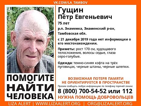 В Тамбовской области разыскивают пенсионера, пропавшего за несколько дней до Нового года