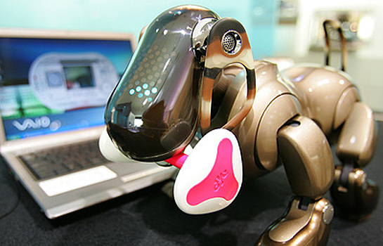 Sony создаст домашнего робота-питомца