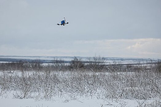 Массовой скупке украинских земель западными компаниями нашли объяснение