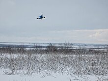 Массовой скупке украинских земель западными компаниями нашли объяснение