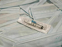 Роспотребнадзор предупредил о рисках завоза в Россию вируса Нипах