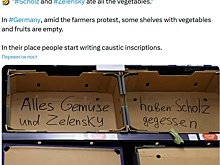 К протестующим фермерам присоединились немецкие железнодорожники