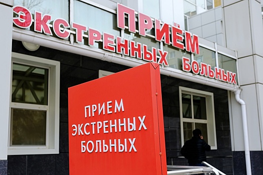 В Сочи нашли владельцев собак, разорвавших лицо ребенка