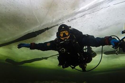 Дайверы и сотрудники Алтайского заповедника сняли фильм «Телецкое зазеркал