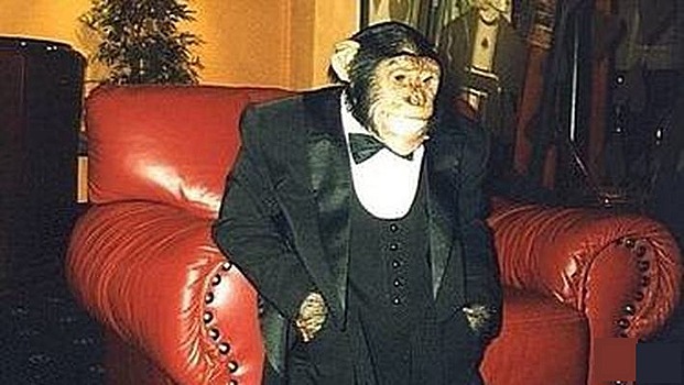 Бросивший пить и курить шимпанзе Джон умер в Геленджике