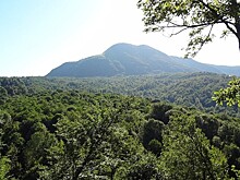 Экологи выступили против создания карьера на Кубани