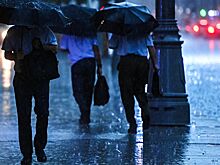 Депутат объяснил, как удаленка может уберечь здоровье работников