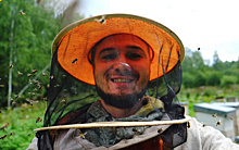 Нектар для РПЦ: как неудавшийся пчеловод запустил всероссийский агрегатор меда
