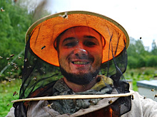 Нектар для РПЦ: как неудавшийся пчеловод запустил всероссийский агрегатор меда