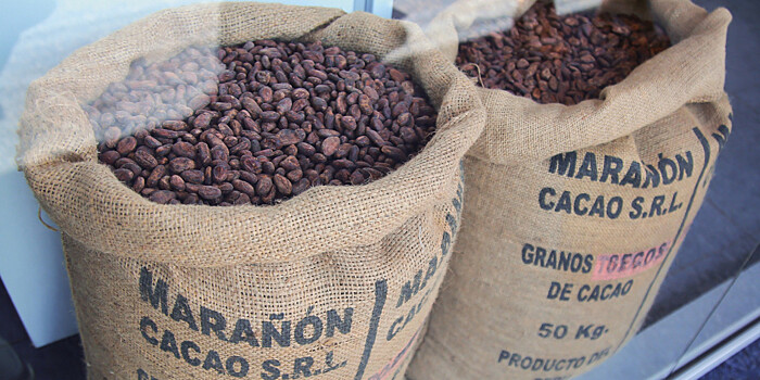 Полиция Колумбии нашла тонну кокаина в какао