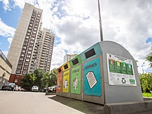 Юрист Свиридов: Неправильный выброс мусора грозит штрафом в 5 тысяч рублей