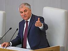 Володин обратился к депутатам с просьбой