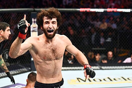 Забит Магомедшарипов, карьера в UFC, возможное возвращение, подробности переговоров, карьера Забита Магомедшарипова