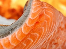 В Ленобласти построят предприятие по разведению лососей