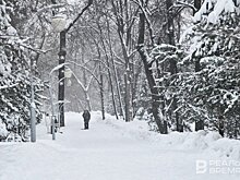 Одна аномалия за другой: какая погода ждет казанцев во второй половине декабря
