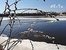 Ухудшение погоды ожидается в Приморье