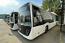 Для нужд районов Кировской области закупят 78 автобусов