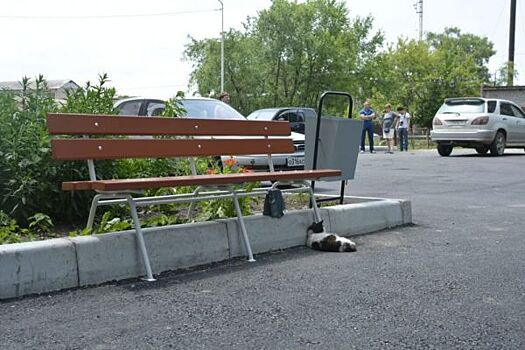 Приморцам подать заявки на участие в губернаторской программе станет проще