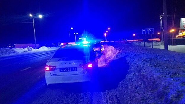 В Кузнецке пьяного водителя, его жену и детей пересадили в такси