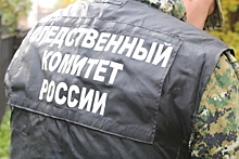 Крымский СК начал проверку после драки в Симферополе