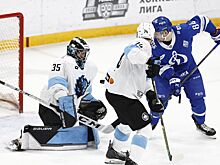 В минском «Динамо» объяснили расторжение контракта с Емелиным