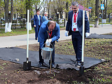 Сонм ректоров заложил аллею ореха Зибольда