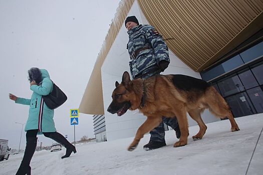 «Волгоград Арена» заплатит за охрану стадиона более 15 млн рублей