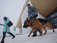 «Волгоград Арена» заплатит за охрану стадиона более 15 млн рублей