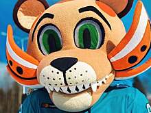 «Ждём Ревизорро всея КХЛ Зубарева». Маскот «Сочи» убрался в раздевалке перед матчем с «СЮ»