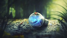 Свердловская область будет участвовать в акции «Час Земли»