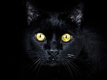 Пять хороших пятниц: 13-е число – не приговор