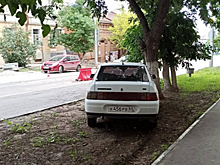 Саратовец пожаловался на парковку на газоне. В ГИБДД заявили, что не могут наказать водителя