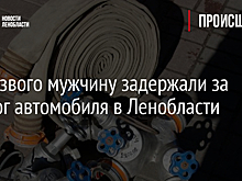 Нетрезвого мужчину задержали за поджог автомобиля в Ленобласти