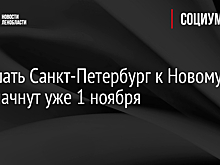 Украшать Санкт-Петербург к Новому году начнут уже 1 ноября